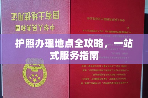 茂林护照办理地点全攻略，一站式服务指南
