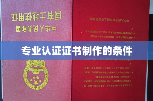 茂林专业认证证书制作的条件