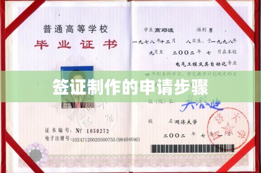 茂林签证制作的申请步骤