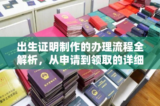 茂林出生证明制作的办理流程全解析，从申请到领取的详细指南