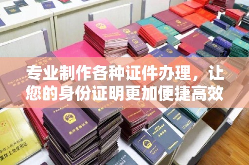 茂林专业制作各种证件办理，让您的身份证明更加便捷高效