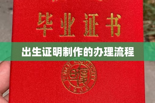 茂林出生证明制作的办理流程