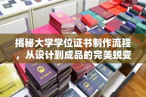 茂林揭秘大学学位证书制作流程，从设计到成品的完美蜕变