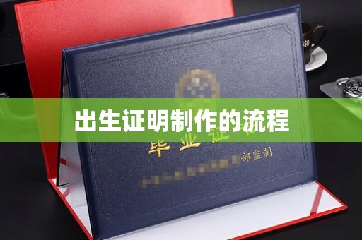 茂林出生证明制作的流程