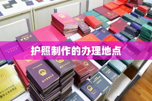 茂林护照制作的办理地点