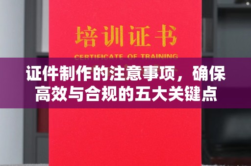 茂林证件制作的注意事项，确保高效与合规的五大关键点