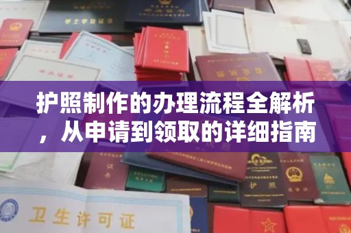 茂林护照制作的办理流程全解析，从申请到领取的详细指南