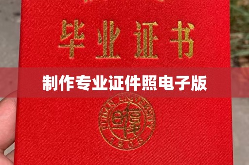 茂林制作专业证件照电子版