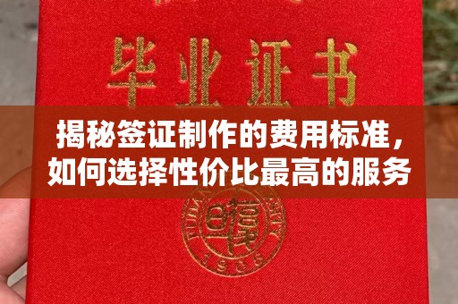 茂林揭秘签证制作的费用标准，如何选择性价比最高的服务？