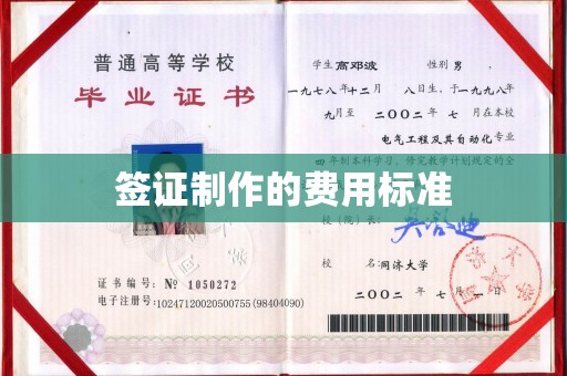 茂林签证制作的费用标准
