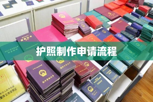 茂林护照制作申请流程