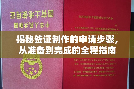 茂林揭秘签证制作的申请步骤，从准备到完成的全程指南