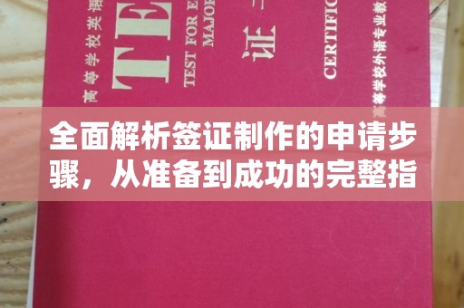 茂林全面解析签证制作的申请步骤，从准备到成功的完整指南