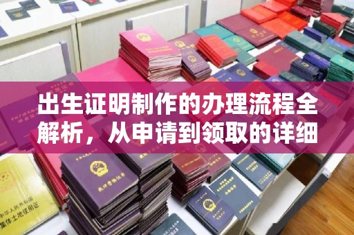 茂林出生证明制作的办理流程全解析，从申请到领取的详细指南