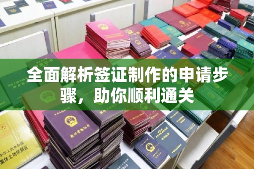 茂林全面解析签证制作的申请步骤，助你顺利通关