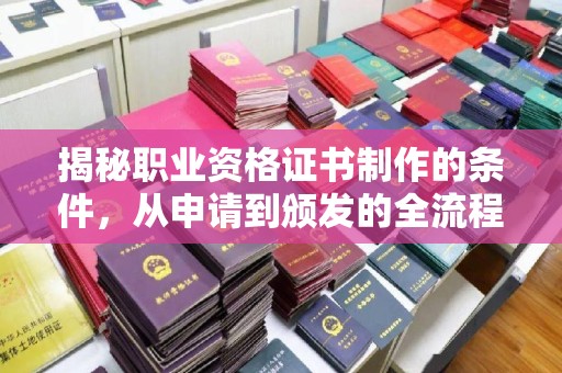 茂林揭秘职业资格证书制作的条件，从申请到颁发的全流程解析