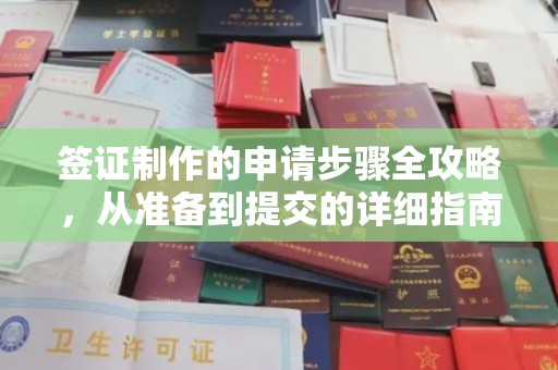 茂林签证制作的申请步骤全攻略，从准备到提交的详细指南