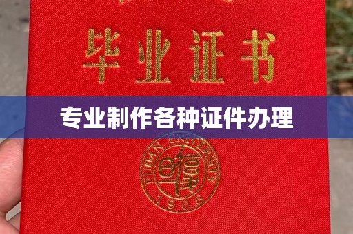 茂林专业制作各种证件办理