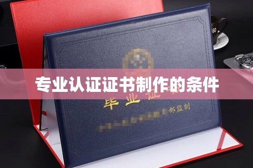 茂林专业认证证书制作的条件